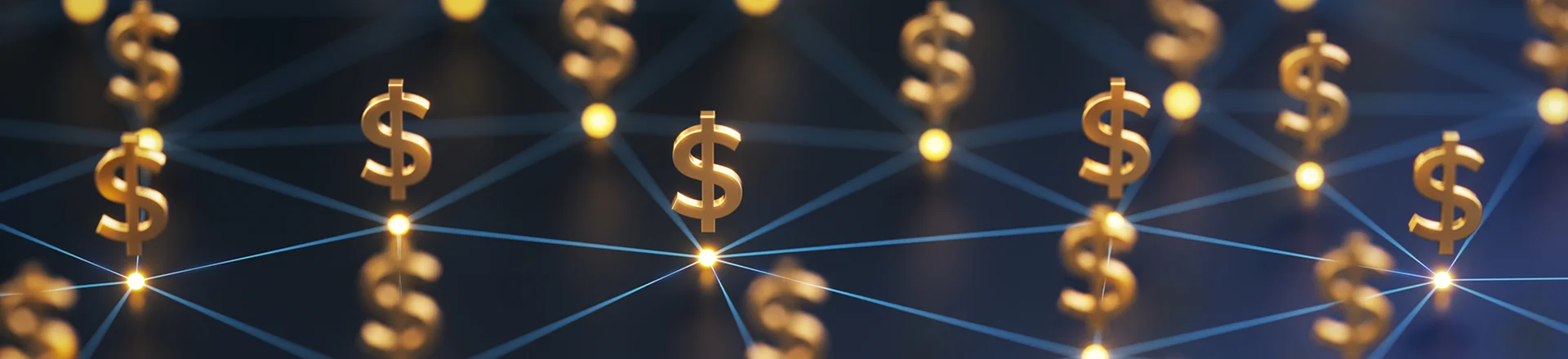 network with dollar sign nodes